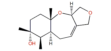 Palisadin D